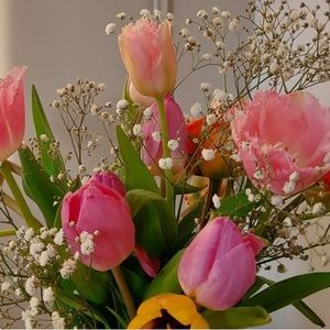 Meet your Posher, Lee